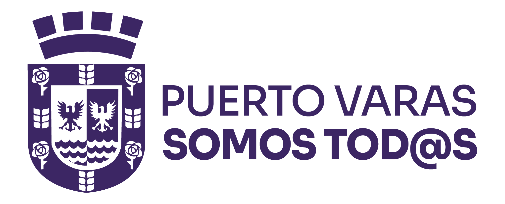 Ilustre Municipalidad de Puerto Varas